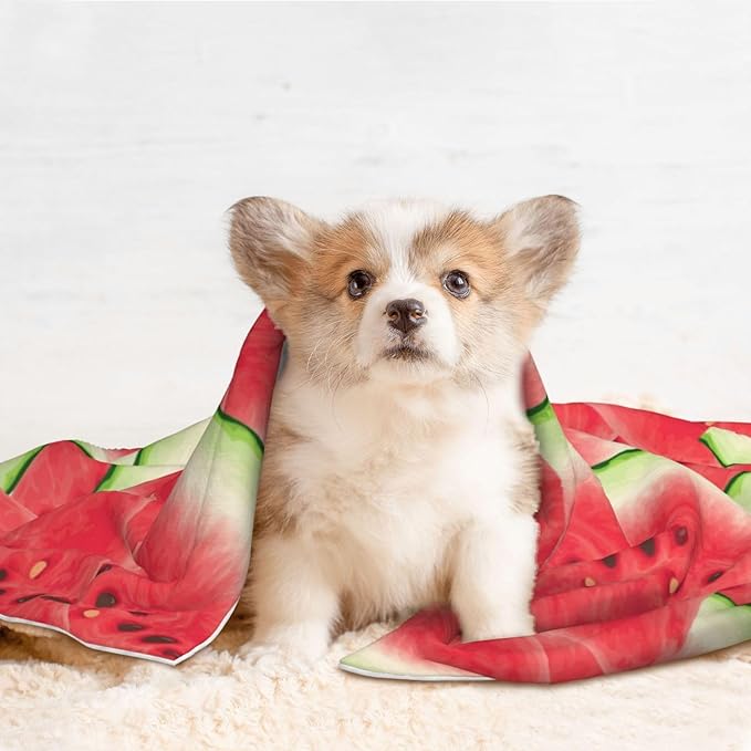 Double Sided Pet Throw for Dogs Who Shed, Watermelon Fruit Summer Art, Reversible Blanket with Nubby Dot Side Catches Loose Fur for Easier Furniture Cleanup