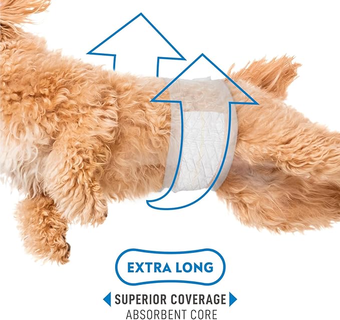 Paw Inspired Select Fit Male Dog Diapers, Disposable Male Wraps with Wetness Indicator| Belly Bands for Small, Medium, Large Dogs (Medium, 20 Count)