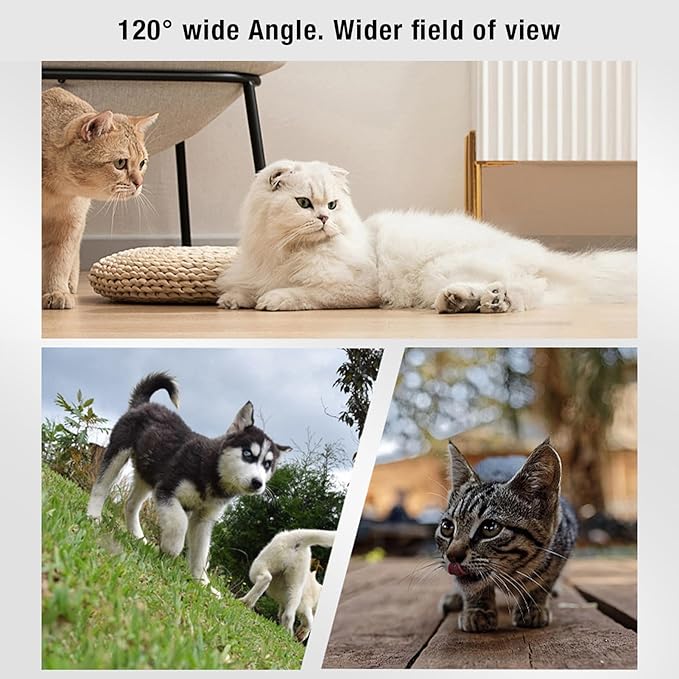 ASHATA Pet Collar Camera, HD 1080P Cat Camera Collar with Video Record (White)