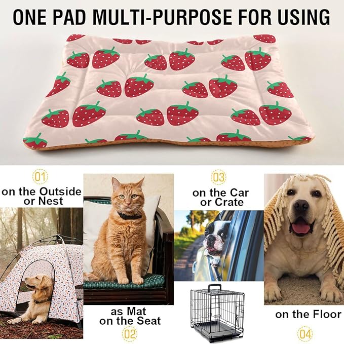Strawberry Fruit Pet Bed Cute Dog Bed Mat Absorbing Non Slip Pad Pet Sleeping Mat for Small, Medium, and Large Dogs Puppy Cat 24 in x 18 in