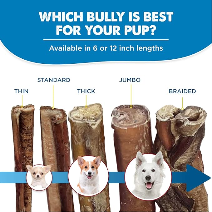 Best Bully Sticks 6 Inch Bully Sticks for Dogs - 5 Count (Pack of 1) - Natural, Easily Digestible, Grass-Fed Beef, Grain and Rawhide Free - Trial Size