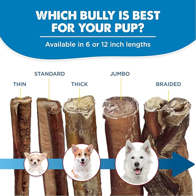 Best Bully Sticks 6 Inch Bully Sticks for Dogs - 18 Count (Pack of 1) - Natural, Easily Digestible, 100% Grass-Fed Beef, Grain and Rawhide Free