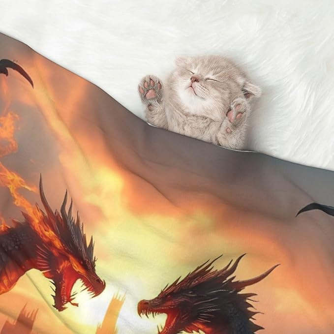 Castle Cool Fire Dragon Print Soft Plush Pet Blanket, Washable Dog Blanket, Cat Fleece Throw, Puppy Bed Crate Mat & Sofa Couch Protector - Medium