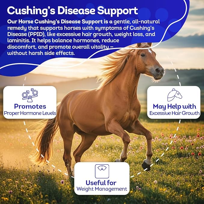 HA4E - Horse Digestive Support for Cushing’s Disease - Preventative Care - Highly Effective, Natural Homeopathic Supplement - Tablets, Barn Size (Extra Large)