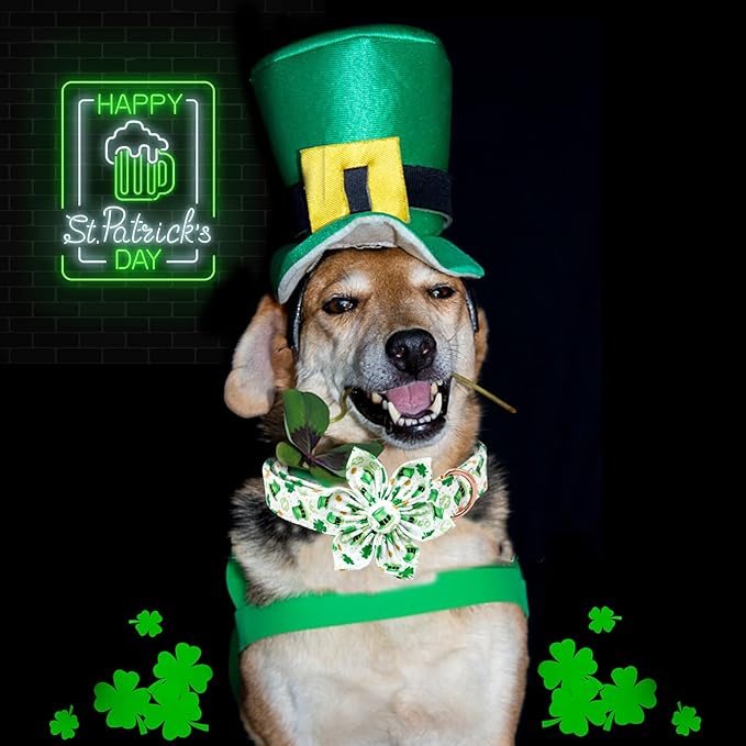 Lionheart glory St. Patrick's Day Dog Collar with Flower Dogs Collar,Soft Green Lucky Clover Shamrock Dog Collars Flower for Medium Dogs Puppy Soft Collars Bows Heavy Duty