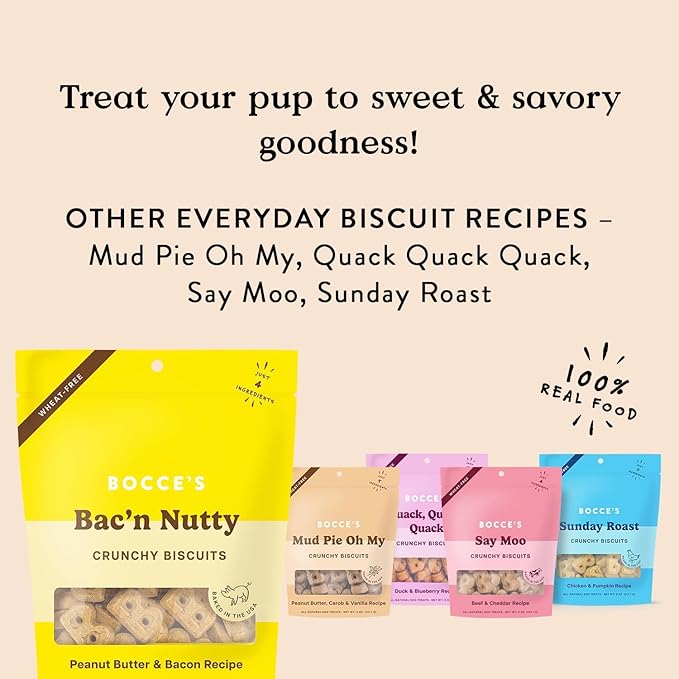 Bocce's Bakery Salmon Cookie + Bac’n Nutty Biscuit Dog Treat Bundle – Natural, Wheat-Free Biscuits and Soft & Chewy Cookies Made with Real Ingredients and Baked in The USA – 2 Pack Bundle