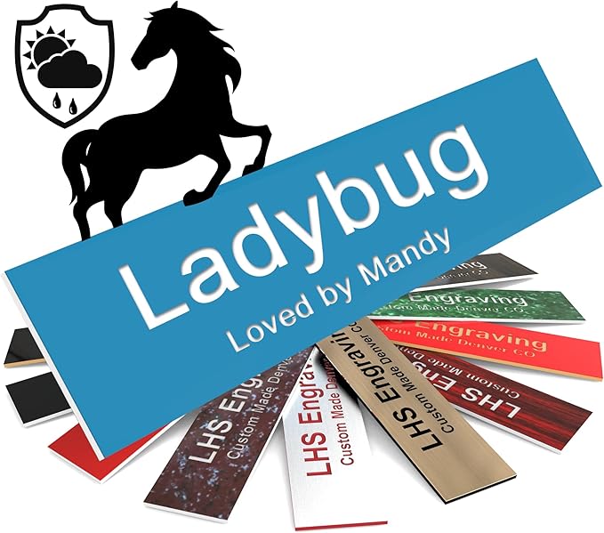Personalized Horse Stall Name Plates, 2x6 Horse Stall Signs with Adhesive, All Weather UV Protected, Light Blue Plastic White Letters - Made in USA - B1