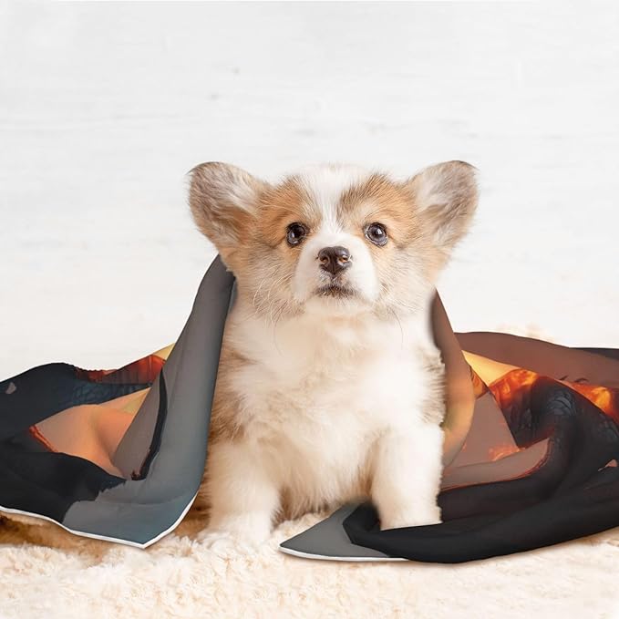 Castle Cool Fire Dragon Print Soft Plush Pet Blanket, Washable Dog Blanket, Cat Fleece Throw, Puppy Bed Crate Mat & Sofa Couch Protector - Medium