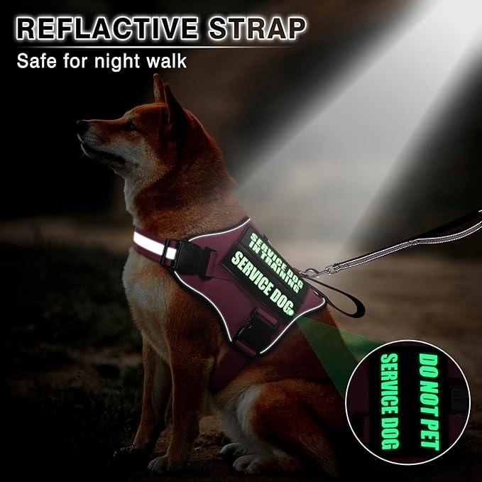 Service Dog Vest Harness and Leash Set+10 Patches,No Pull&Easy Walk Reflective Dog Harness with Soft Padded Handle for Training/Everyday,Fit Small/Medium/Large/Extra-Large Dogs(Pink M)