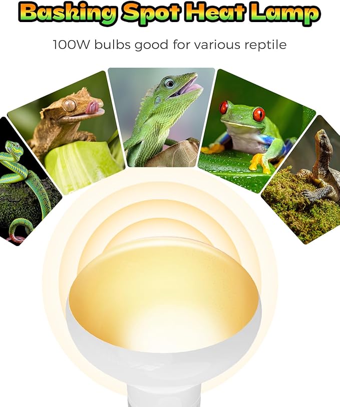 Reptile Heat Lamp, 2 Pack 75W Heat Lamp Bulbs for Reptiles, Amphibians Basking Heat Lamp Bulbs, UVA Daylight Basking Light for Reptiles, Bearded Dragon, Lizard, Turtle, Chicken