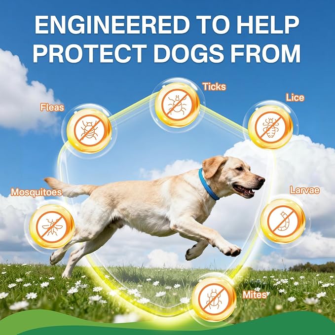 Flea and Tick Prevention for Dogs Collar 4 Pack, Natural Flea Collar for Dogs 32-Month Full Protection, Adjustable Dog Tick Prevention for Puppy & Dog, Waterproof, 2 Pink & 2 Blue
