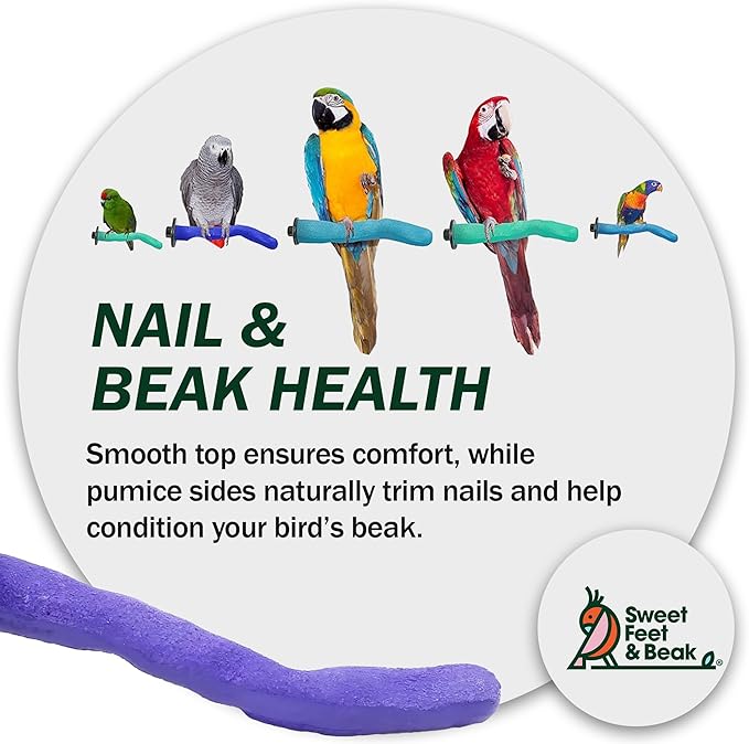 Sweet Feet and Beak Safety Pumice Perch - Trims Nails and Beak - Promotes Healthy Feet - Safe Non-Toxic Bird Supplies for Bird Cages - X-Large 14"