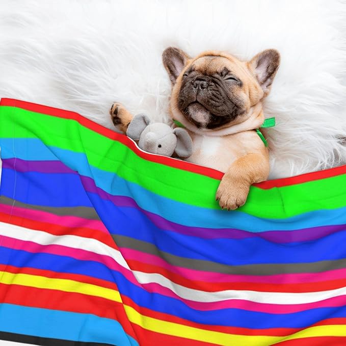 Two Sided Pet Cuddler Blanket for Anxiety Calming, Novel Colorful Mexican Blanket Stripes, Reversible Plush Design with Bubble Dot Pattern Provides Familiar Surface Anywhere