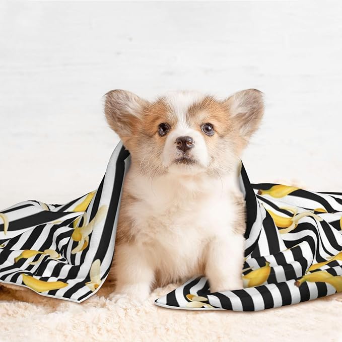 Pet Blanket for Couches and Beds, Banana and Strap, Reversible Double Sided Plush Design with Soft Bumpy Texture and Smooth Surface, Furniture Protector