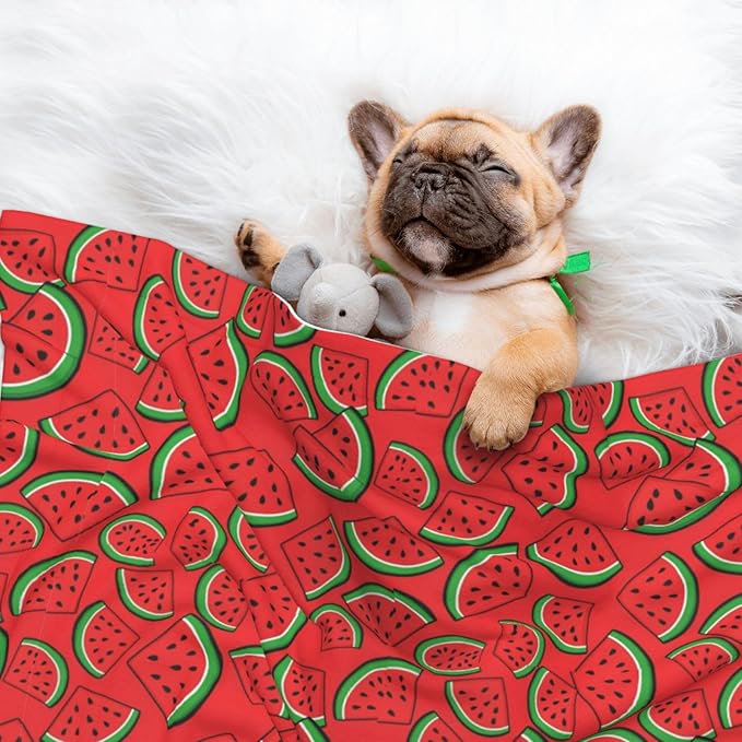 Pet Blanket for Travel and Home, Summer Fruit Red Green Watermelon, Reversible Plush Dot Design with Soft Grip Texture on One Side Perfect for Car Seats Moving Vehicles