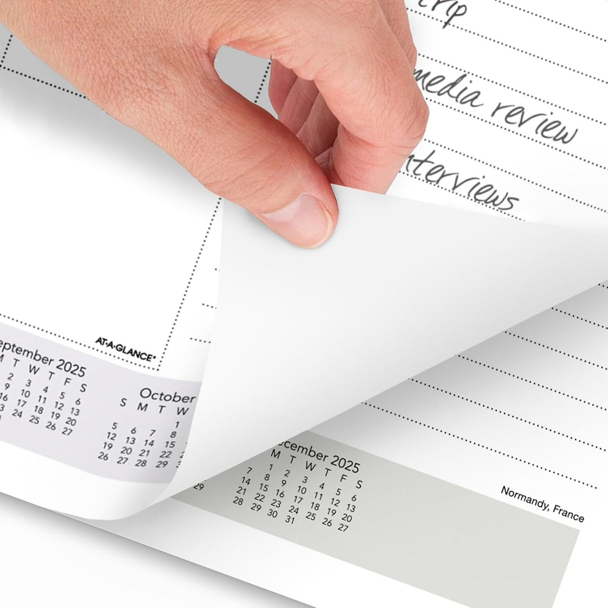 2025 AT-A-GLANCE® Panoramic Landscape Monthly Desk Pad, 21-3/4" x 17", Scenic, January 2025 To December 2025, 89802