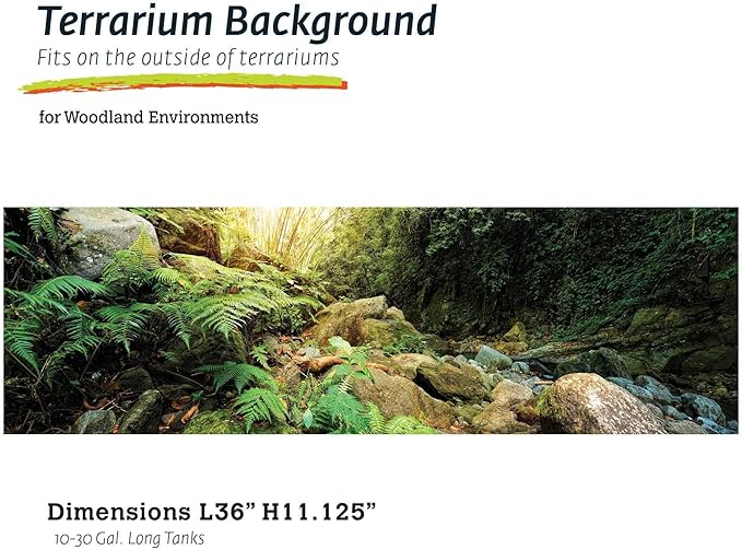 Galápagos (05400) Terrarium Background Clings, 11.125" x 36", Woodland