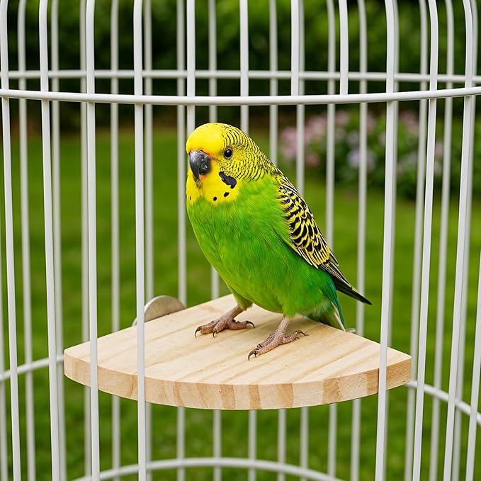2PCS Bird Perch Platform Flat, Fan Shape and Rectangle Bird Cage Platform, 5.9 × 3.14 Inches Birds Perch Stand Platforms with Stainless Steel Washers for Cockatiel Rat Hamster Guinea Pig Conure