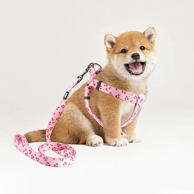 QQPETS Dog Harness Leash Set Adjustable Heavy Duty No Pull Halter Harnesses for Small Medium Large Breed Dogs Back Clip Anti-Twist Perfect for Walking (XS(12"-18" Chest Girth), Sakura Pink)