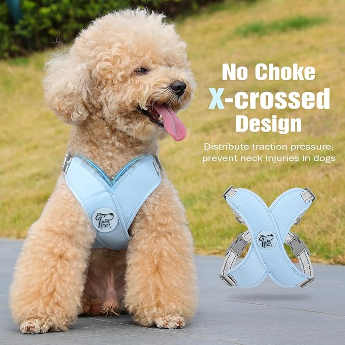 Pawaboo Small Dog Harness and Leash Set, Puppy Harness X-Frame No Pull No Choke, Dog Vest Harness Adjustable for Small Medium Sized Dogs, Soft Breathable Pet Harness for Walking Outing (M, Blue)