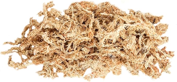 SuperMoss (22306) Orchid Sphagnum Moss, Premium Grade Long Fiber Superior Water Retention for Orchids and Nursery Plants, 175 Cu. in. (Appx. 4 Oz)