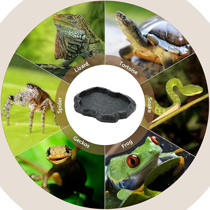 AYNEFY Reptile Food Water Rock Bowls,Resin Reptile Feeder Lizard Feeding Dish Amphibian Feeder Bowl Terrarium Decor for Bearded Dragons Leopard Gecko Frog Snake(Emerald