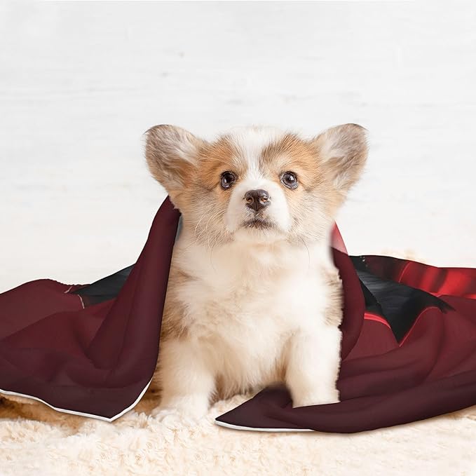 Waterproof Dog Blanket Soft Pet Blanket for Puppy Cat, Fleece Cat Throw Blankets for Furniture Bed Couch Sofa Reversible - Mysterious Hooded Wolf
