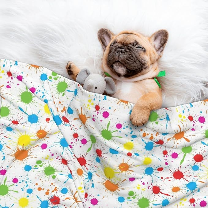 Two Sided Plush Pet Blanket for Crates Carriers Home Use, Paint Splatter Colorful, Reversible Throw with Cozy Dot Fabric and Silky Reverse for Small Large Pets