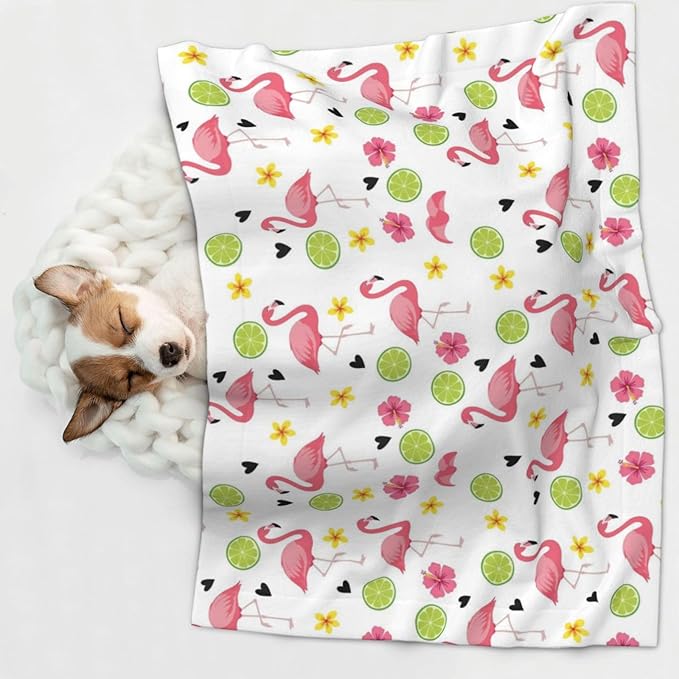 Pet Blanket for Couches and Beds, Cute Pink Flamingo, Reversible Double Sided Plush Design with Soft Bumpy Texture and Smooth Surface, Furniture Protector