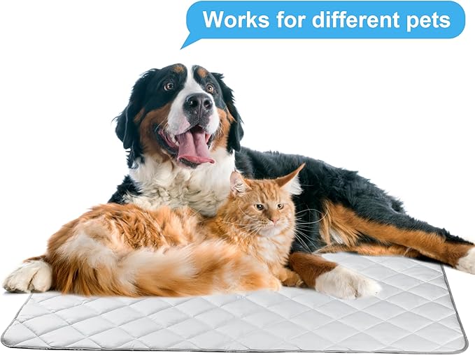 Langsprit Dog Cooling Mat, Washable Dogs Cats Pet Non-Toxic Cooling Pads Summer Sleeping Kennel Mats，Pet Self Cool Ice Blanket for Indoor & Outdoor Dog Beach Essentials Light Gray Medium