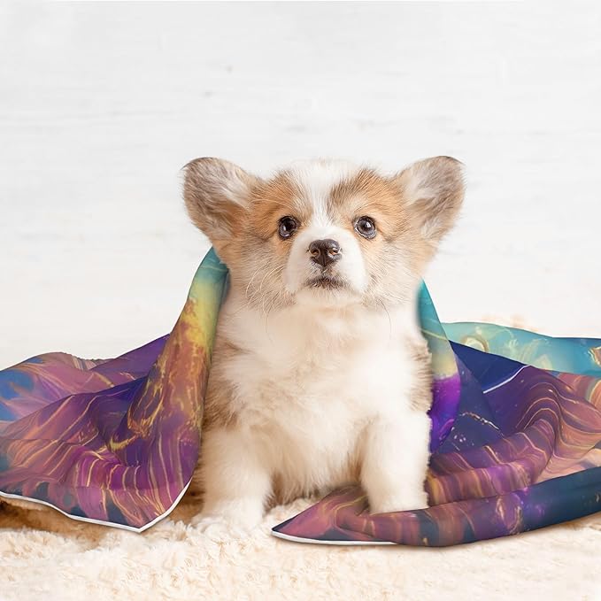 Waterproof Dog Blanket Soft Pet Blanket for Puppy Cat, Fleece Cat Throw Blankets for Furniture Bed Couch Sofa Reversible - Colorful Winged Dolphin