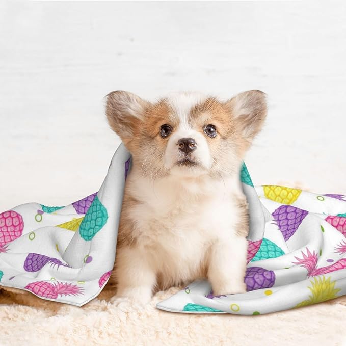 Reversible Plush Throw for Dogs and Cats, Colorful Tropical Summer Pineapple Print, Double Sided Blanket with Nubby Dot Side and Sleek Side Ideal for Cuddling Nesting Security