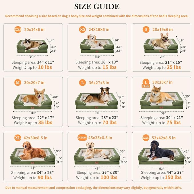 Comfort Expression Orthopedic Dog Bed for Extra Large Dogs 42x30 Inch, Waterproof Egg Crate Foam XL Pet Bed with Removable Bolsters, Dog Couch with Washable Cover & Non-Slip Bottom, Light Green