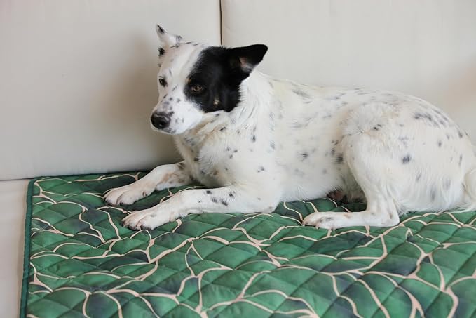 Waterproof Blanket, 29" x 34” - Seat Cover for Dogs and Pets. Ideal for Small and Medium Pet Crate Blankets, Settle mat, Diaper Changing and Playmat for Babies