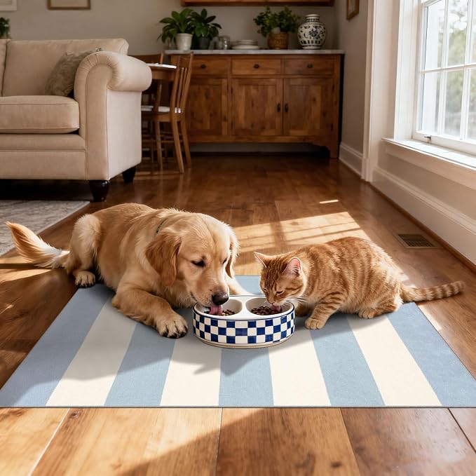 Blue White Striped Outdoor Rug