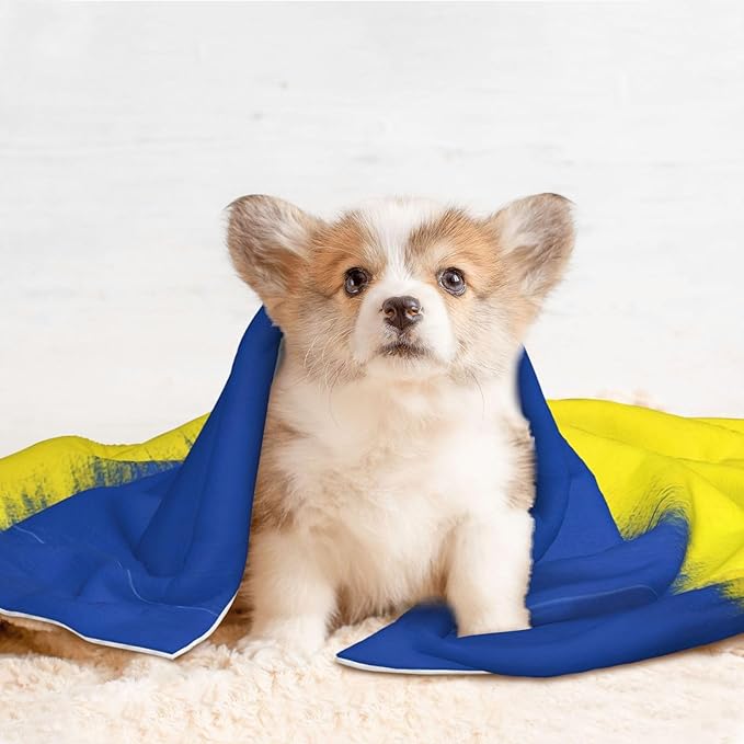Pet Blanket for Couches and Beds, Abstract Artistic Ukrainian Flag, Reversible Double Sided Plush Design with Soft Bumpy Texture and Smooth Surface, Furniture Protector