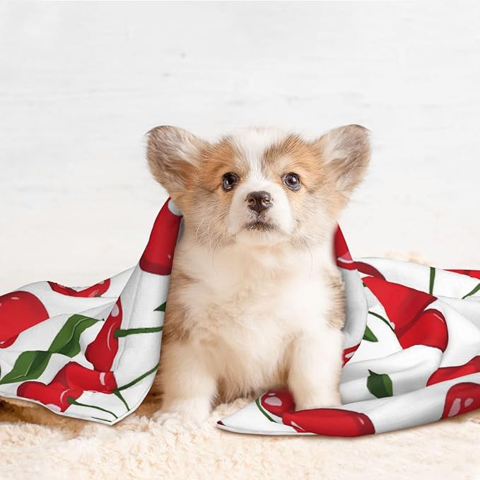 Cherry Print Soft Plush Pet Blanket, Washable Dog Blanket, Cat Fleece Throw, Puppy Bed Crate Mat & Sofa Couch Protector - Medium