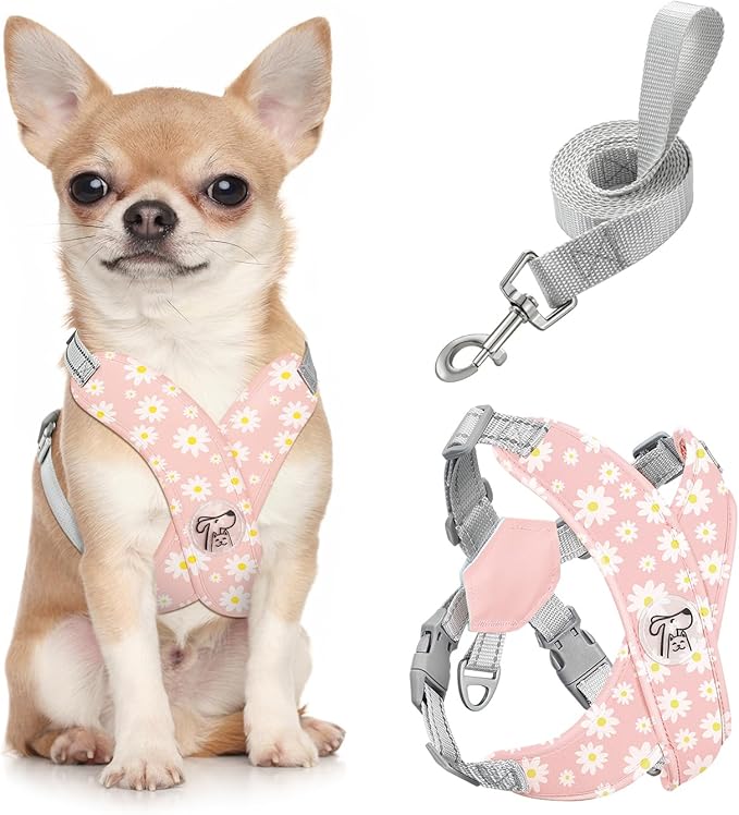Pawaboo Small Dog Harness and Leash Set, Puppy Harness X-Frame No Pull No Choke, Dog Vest Harness Adjustable for Small Medium Sized Dogs,Soft Breathable Pet Harness for Walking Outing, S, Pink Daisy