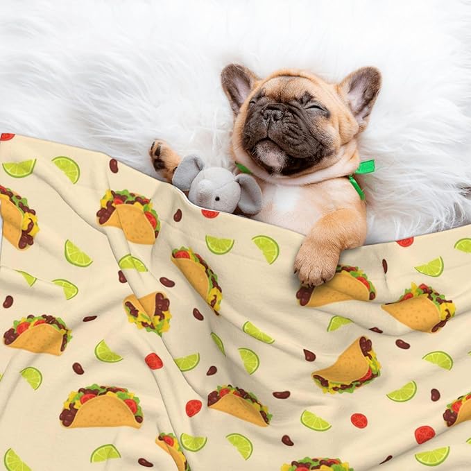 Pet Blanket for Car Rides Vet Visits, Mexican Taco, Two Sided Reversible Plush Design with Bumpy Dot Side Offers Comfort Home Piece On Go Travel