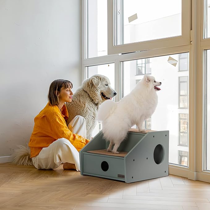 Petsfit Wooden 2 Cat Stairs for Dogs/Cats/Elderly Pets, Non-Slip Dog Steps for High Beds/Couch/Sofa, Green(21x17x14 inch)