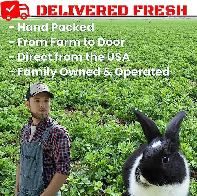Bunny Honey Organic Alfalfa Hay for Bunnies 12 lb Dim wt/5 lb High-Protein & Calcium, Supports Growth & Dental Health, Fresh & Nutritious