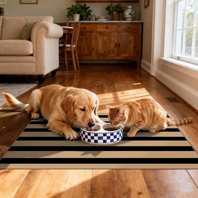 Front Door Mat Outside Entrance