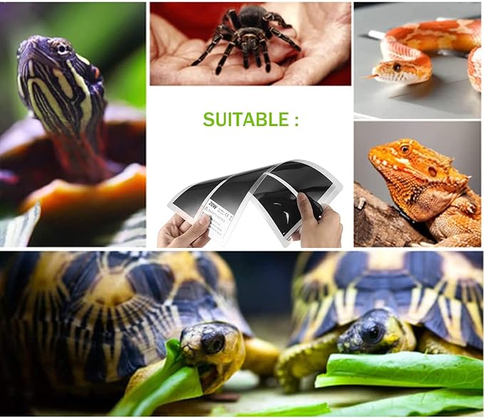 Reptile Heating Mat with Temperature Adjustment, Waterproof Reptile Heat Pad Under Tank Terrarium Heater for Amphibians, Small Animals, Seeding (14W - 11 x 11 in)