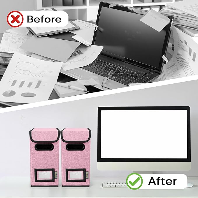 BALEINE File Organizer Box with Lid, Collapsible File Folder Organizer with Plastic Slide, Hanging File Folder Box for Office Document Storage (2 Pack, Pink, S)