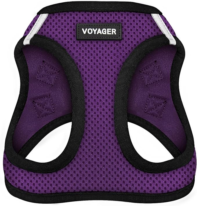 Best Pet Supplies Voyager Step-in Air Harness - All Weather Mesh, Reflective, No Pull Harness for Dogs, Cats - Secure with Hook & Loop Fastener, Buckle, Double D-Rings - Purple/Black Trim, XL