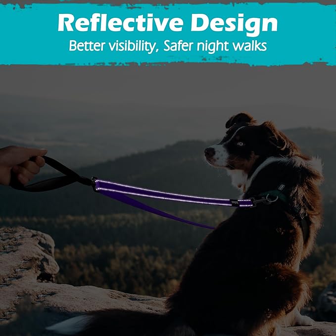 PetBonus Two Point Control Dog Leash, Works with No Pull Harnesses, No Tangle Training Leashes, Soft Padded and Reflective Walking Lead, Converts to Single Lead for Medium Large Dogs (Purple)