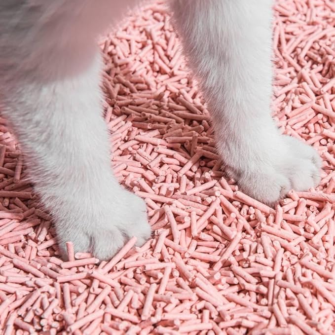 Tofu Cat Litter Natural Clumping Tofu Cat Litter, Fast Clumping and Easily Scoop-able 5.5lb/88oz 5 Scents - Peach, 8 Pack