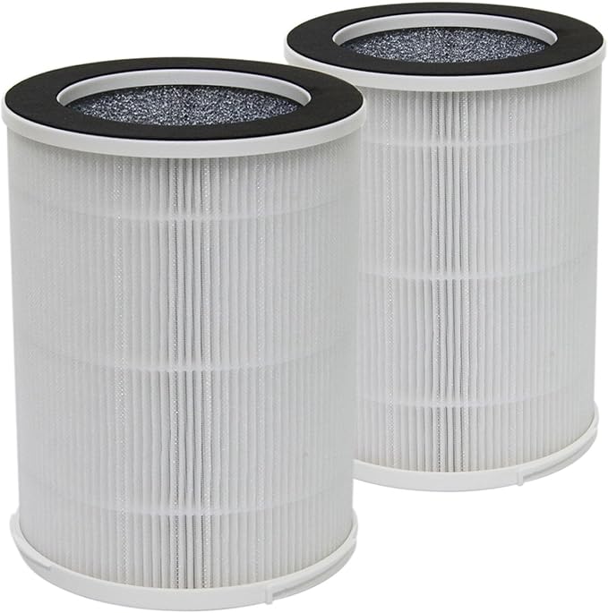 PUREBURG Replacement Filters Compatible