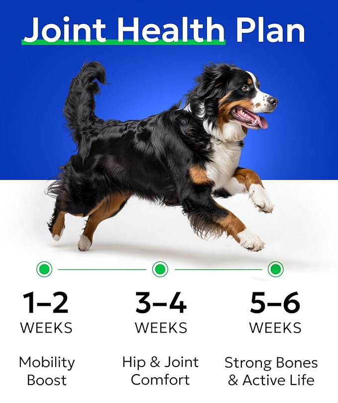 BARK&SPARK Glucosamine Chondroitin Dog Hip & Joint Supplement - Joint Pain Relief - Hip & Joint Chews - Joint Support Large Small Breed - Senior Doggie Vitamin Pill Joint Health (180 Treats - Bacon)