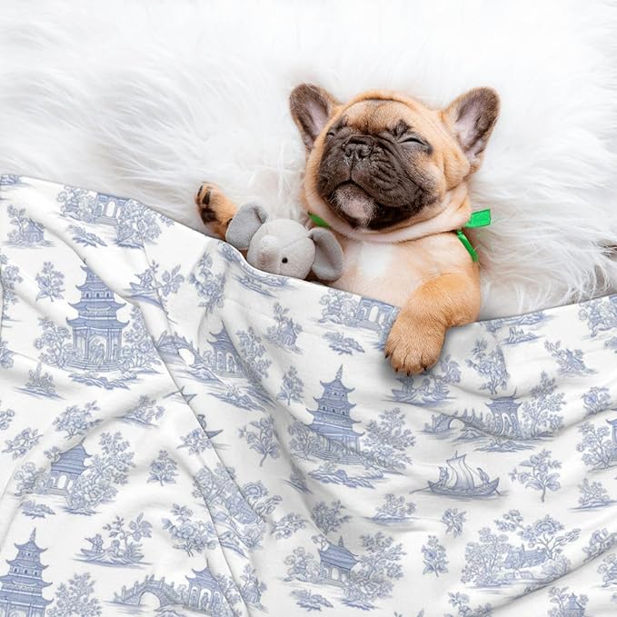 Dog and Cat Blanket in One, Chinese Style Powder Blue Chinoiserie Toile, Double Sided Plush Throw with Raised Dot Pattern on One Side and Flat Velvet on Other for Variety